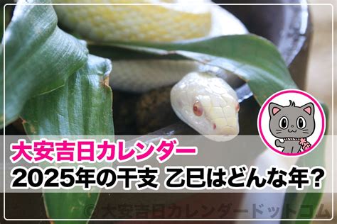 乙巳年2025|2025年の干支は乙巳（きのとみ）！どんな年になる？巳年生ま。